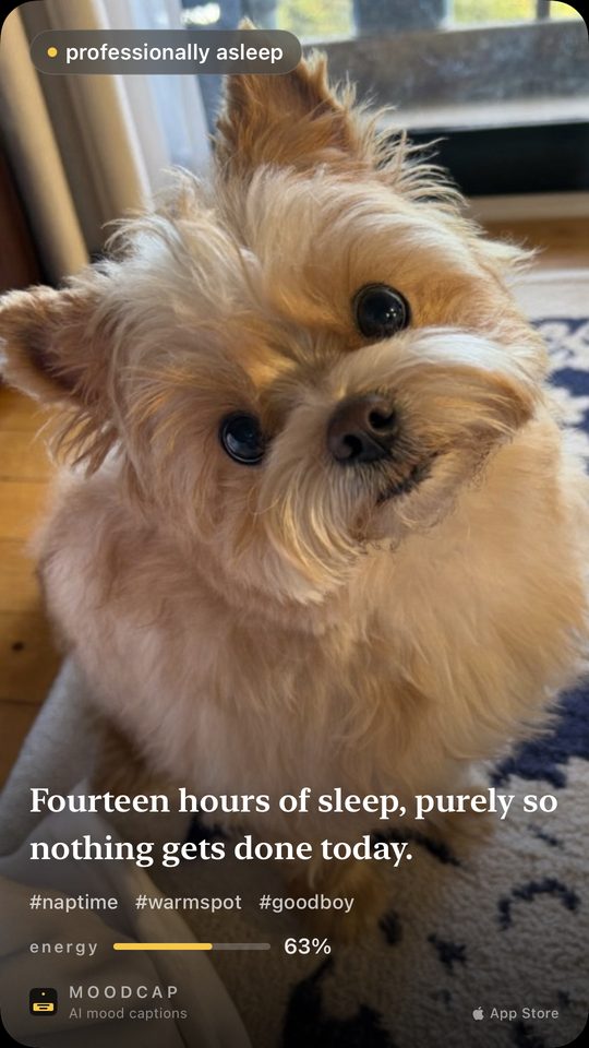 Mood: professionally asleep. &ldquo;Fourteen hours of sleep, purely so nothing gets done today.&rdquo;