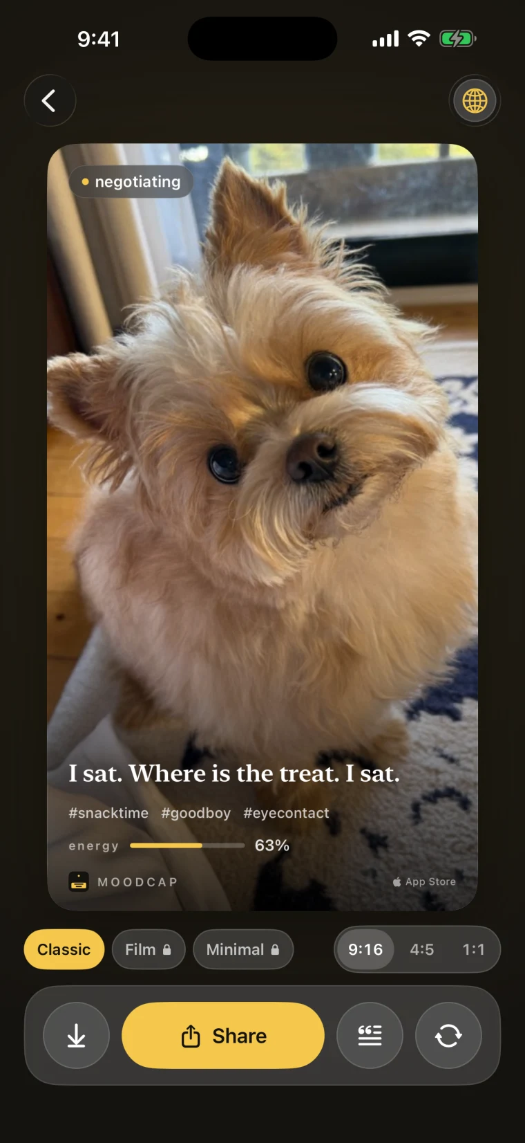 The finished card screen: the dog card with &ldquo;I sat. Where is the treat. I sat.&rdquo;, and under it a style picker with Classic selected, Film and Minimal locked, the sizes 9:16, 4:5 and 1:1, and Save, Share, caption look and reroll buttons.