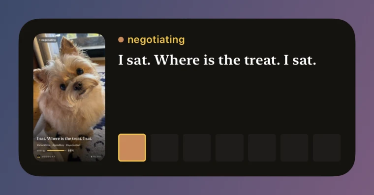 The medium widget: a thumbnail of today's dog card, the mood &ldquo;negotiating&rdquo;, the line &ldquo;I sat. Where is the treat. I sat.&rdquo;, and a row of colour squares for this week.