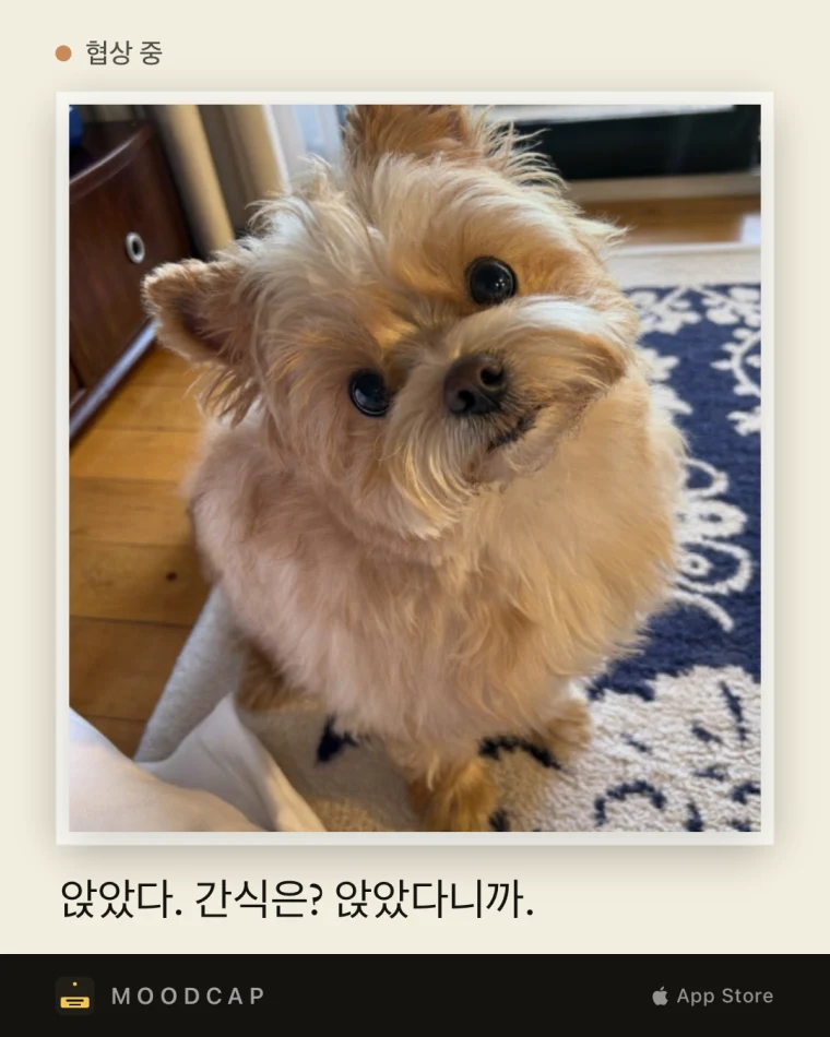 피드 게시물 크기인 4:5 비율의 필름 스타일 카드.