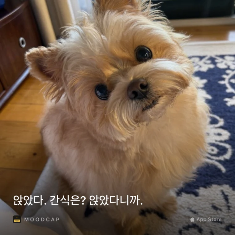 1:1 정사각형 미니멀 스타일 카드.