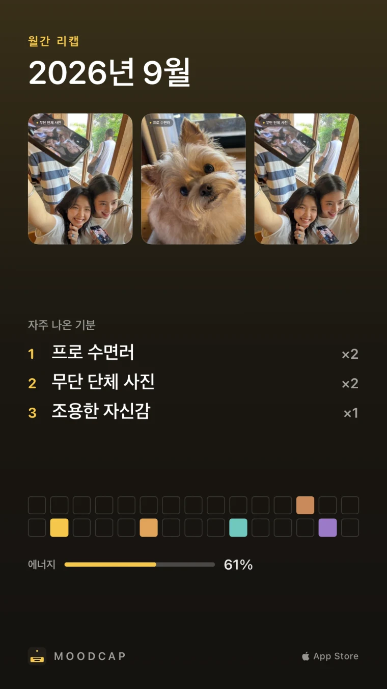 2026년 9월(예시 달) 월간 리캡 포스터. 대표 사진 3장(셀카 찍는 두 친구, 강아지, 같은 셀카), 자주 나온 기분 프로 수면러·무단 단체 사진·조용한 자신감, 날마다 색 한 칸씩의 팔레트, 에너지 61%.