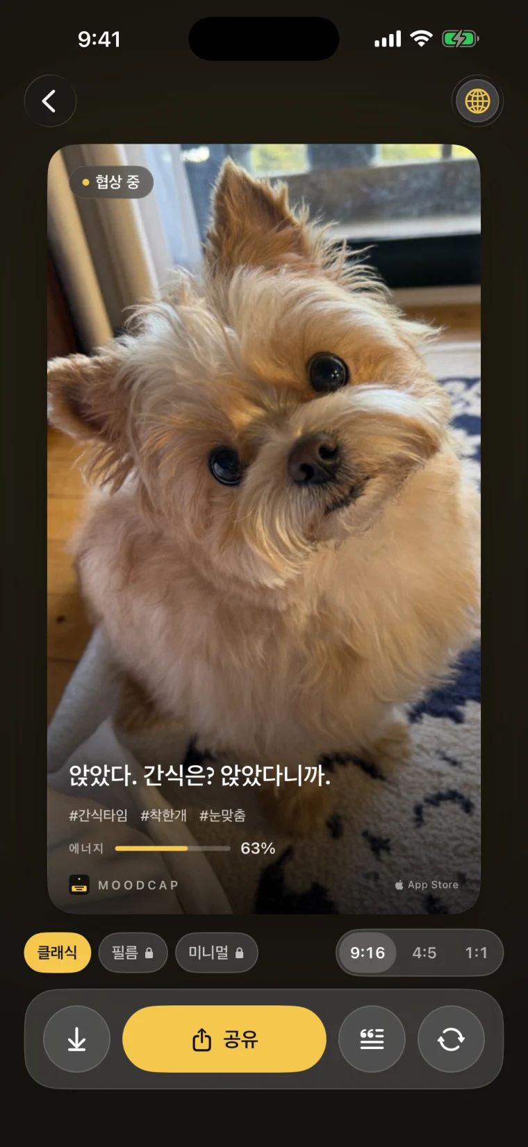 완성된 카드 화면. 강아지 카드 &lsquo;앉았다. 간식은? 앉았다니까.&rsquo; 아래에 스타일 선택(클래식 선택됨, 필름과 미니멀은 잠김)과 비율 9:16·4:5·1:1 선택, 저장·공유·문장 꾸밈·다시 뽑기 버튼이 있다.